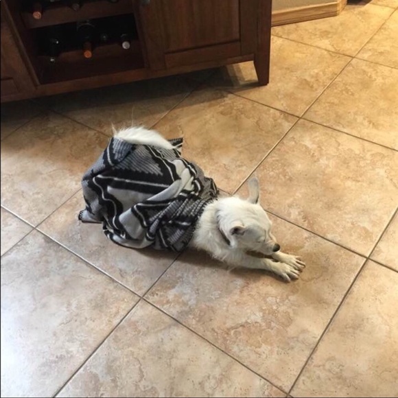 Offers Welcomed! - Picture 2 of 3